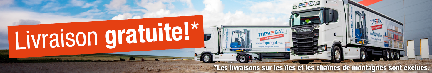 Livraison gratuite