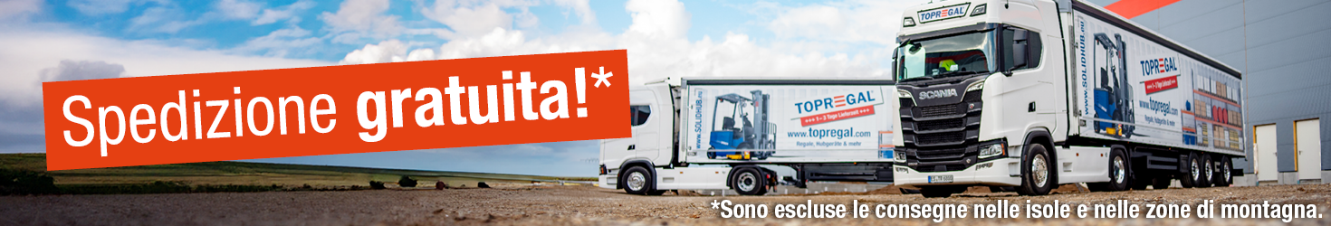 Spedizione gratuita